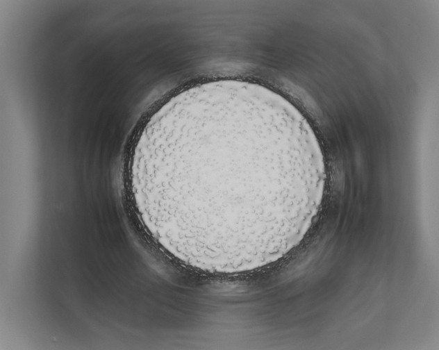 X0000111450582200908101036