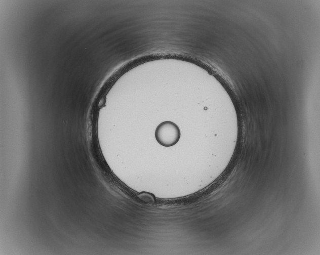 X0000111450584200908101036