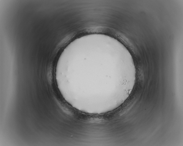 X0000111450586200908101036
