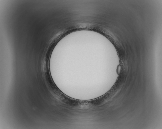 X0000111450587200908101036