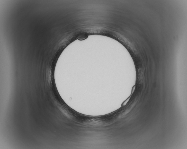 X0000111450589200908101036