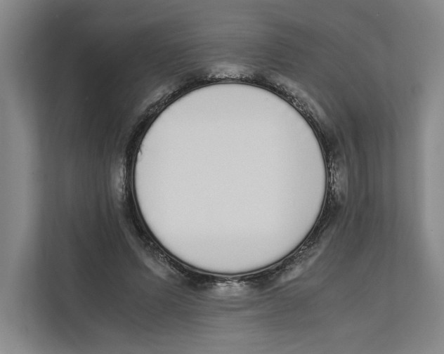 X0000111450591200908101036