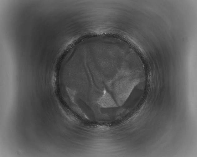 X0000111450592200908101036