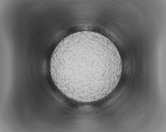 X0000111450594200908101036