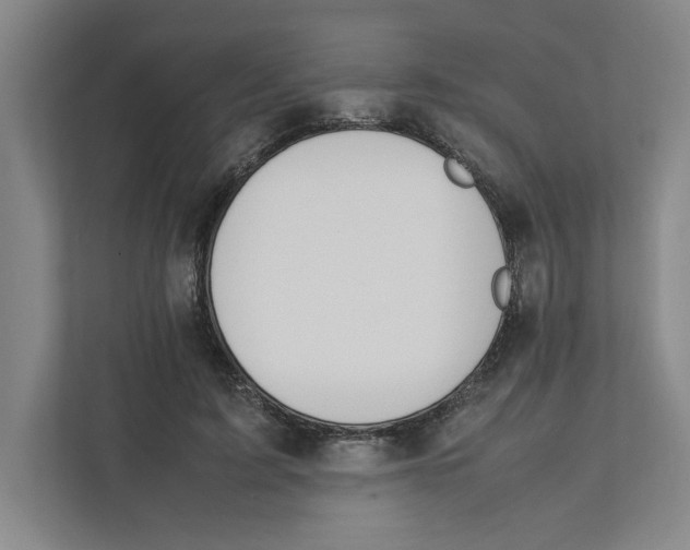X0000111450595200908101036