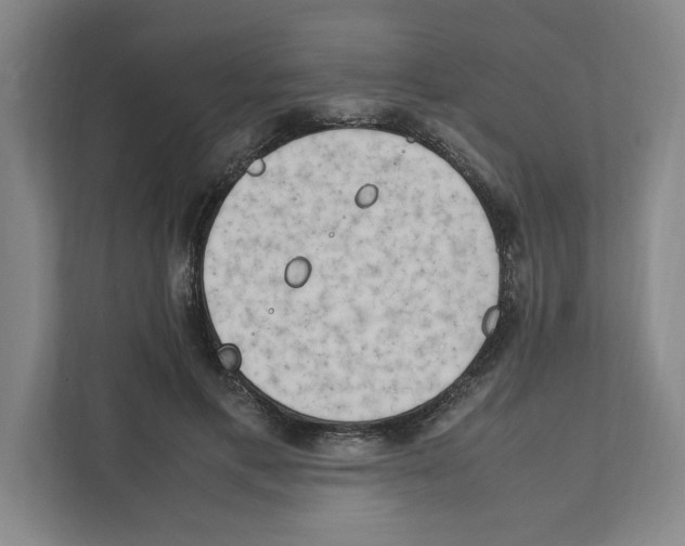 X0000111450597200908101036