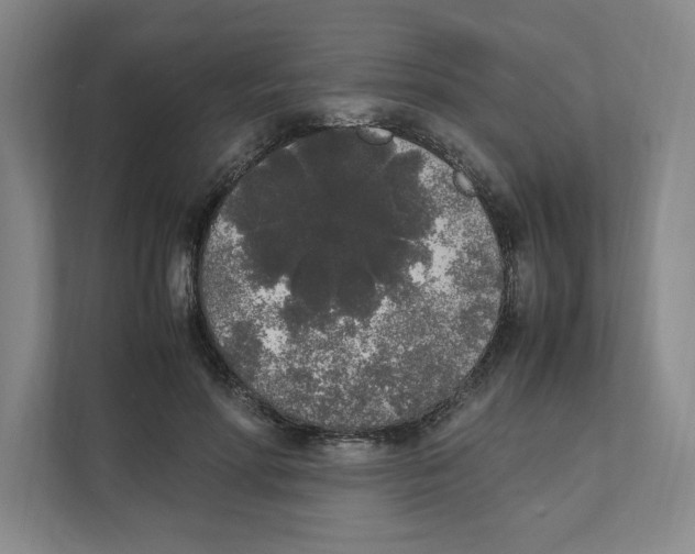 X0000111450598200908101036