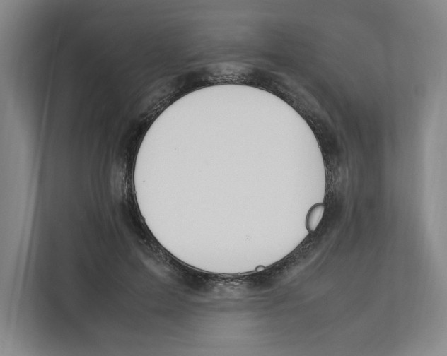 X0000111450599200908101036