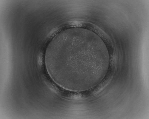 X0000111450600200908101036