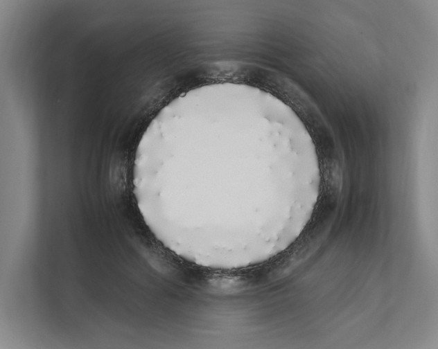 X0000111450602200908101036