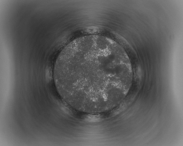 X0000111450606200908101036