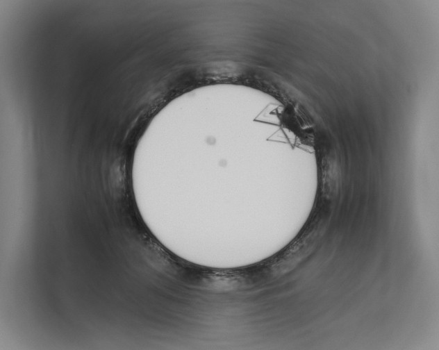 X0000111450608200908101036