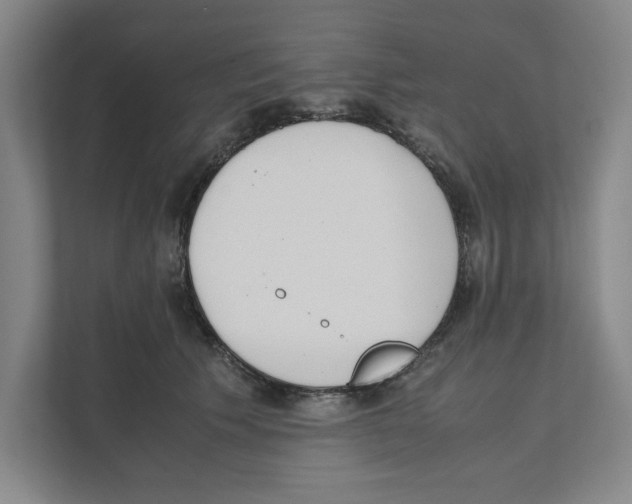 X0000111450609200908101036