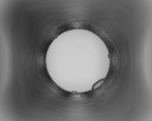 X0000111450611200908101036