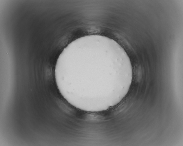 X0000111450614200908101036
