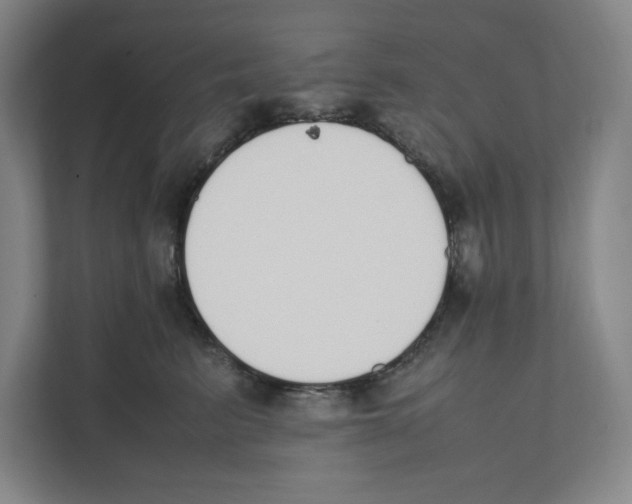 X0000111450615200908101036