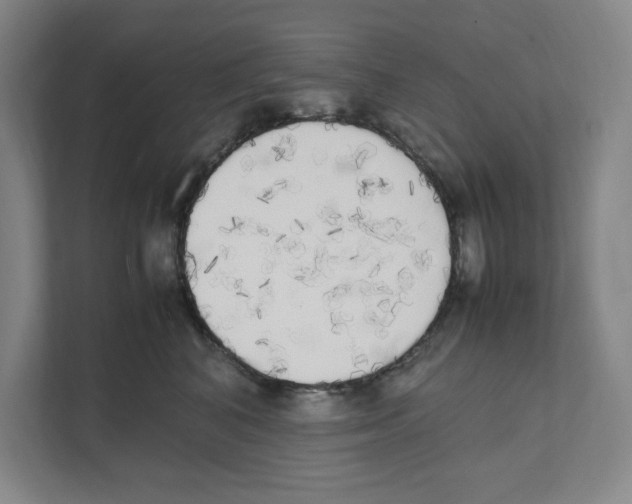 X0000111450616200908101036