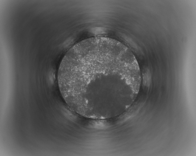 X0000111450618200908101036