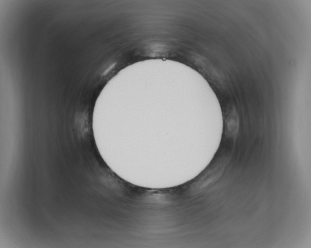 X0000111450620200908101036