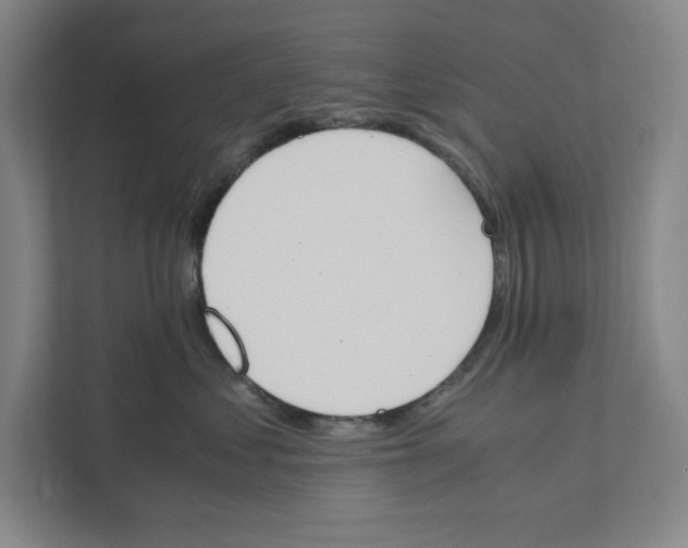X0000111450621200908101036
