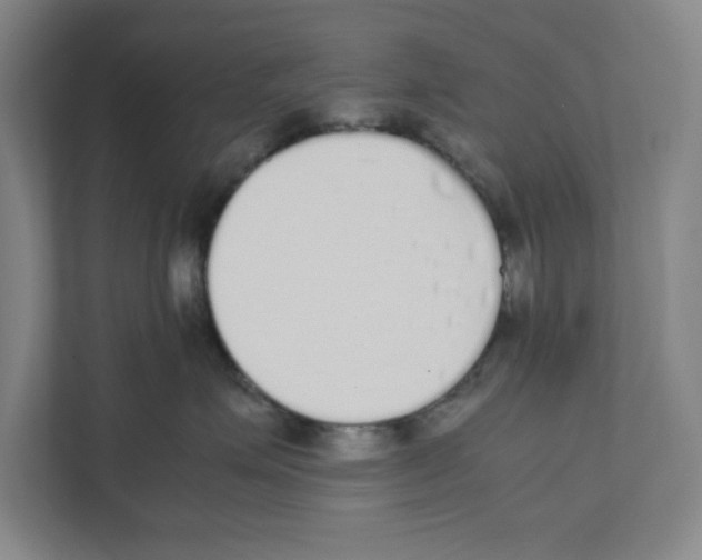 X0000111450623200908101036