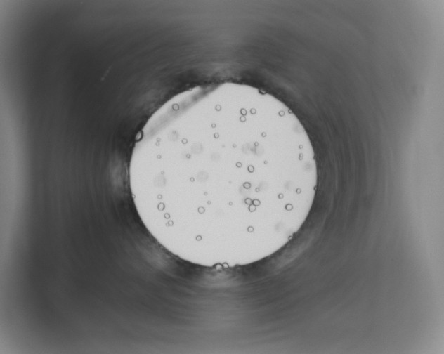 X0000111450624200908101036