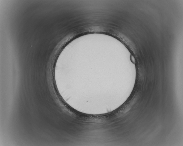 X0000111450625200908101035