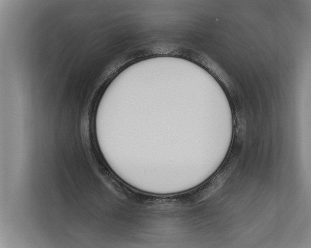 X0000111450626200908101035