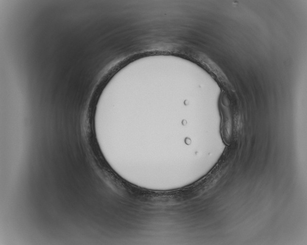 X0000111450628200908101035