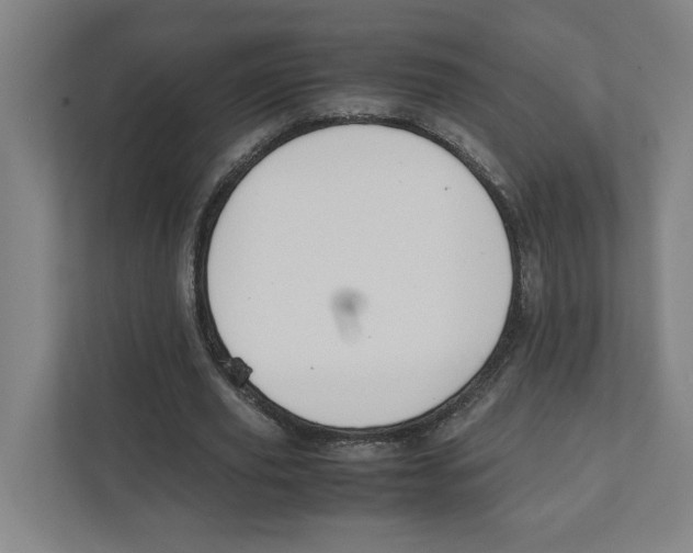 X0000111450629200908101035