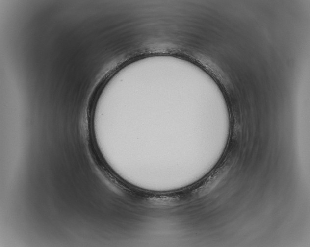 X0000111450630200908101035