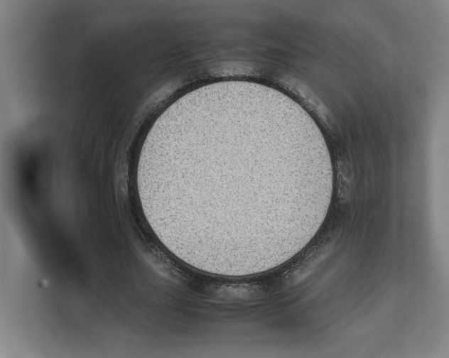 X0000111450631200908101035