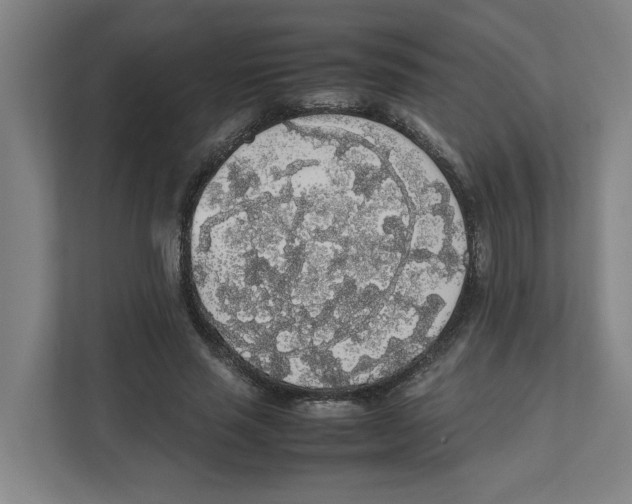 X0000111450637200908101035