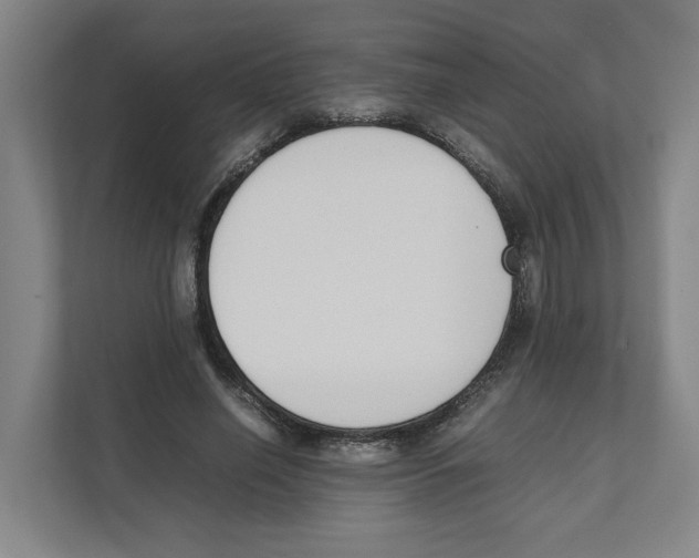 X0000111450638200908101035