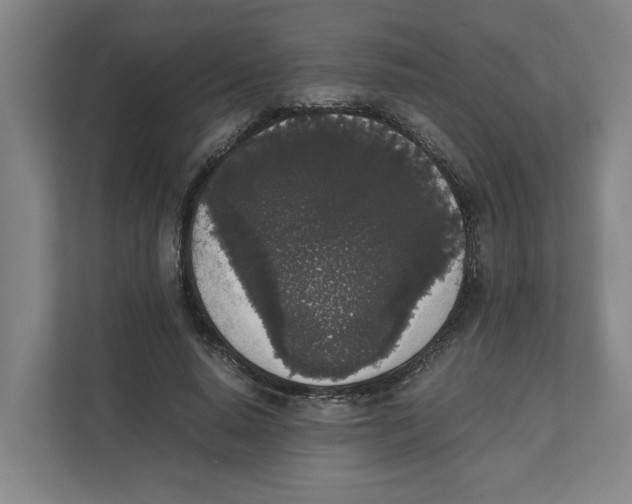 X0000111450640200908101035