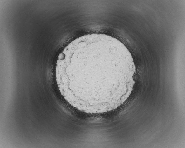 X0000111450642200908101035