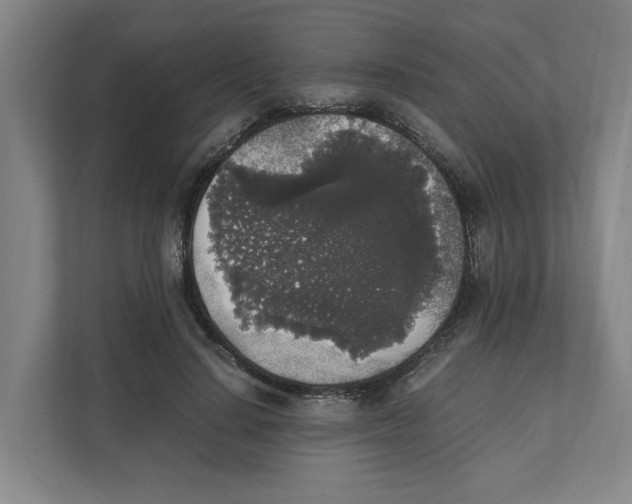 X0000111450644200908101035
