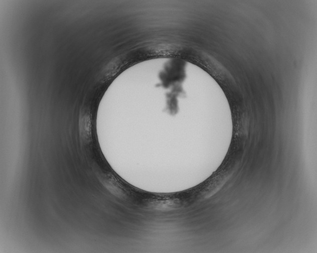 X0000111450646200908101035