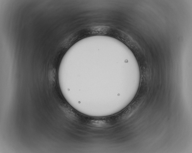 X0000111450649200908101035