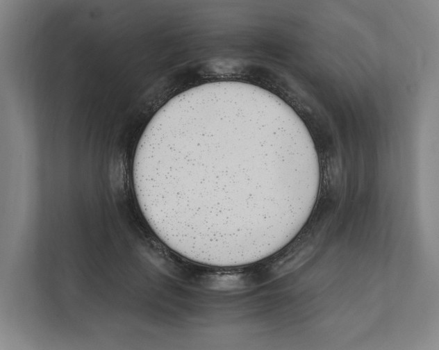 X0000111450651200908101035