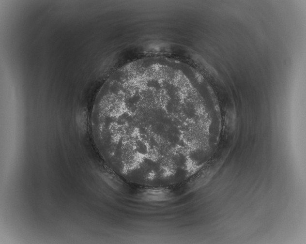X0000111450659200908101035