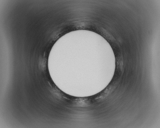 X0000111450660200908101035
