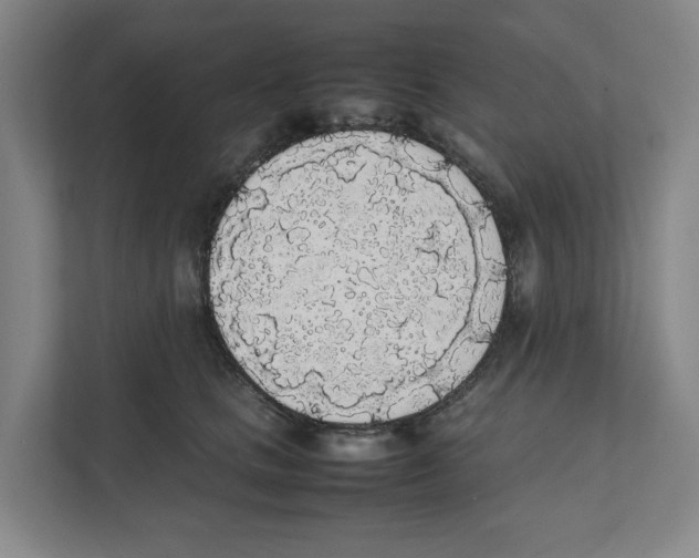 X0000111450661200908101035