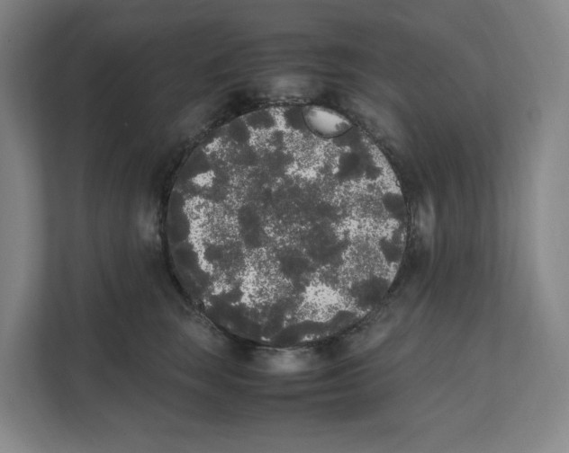 X0000111450663200908101035