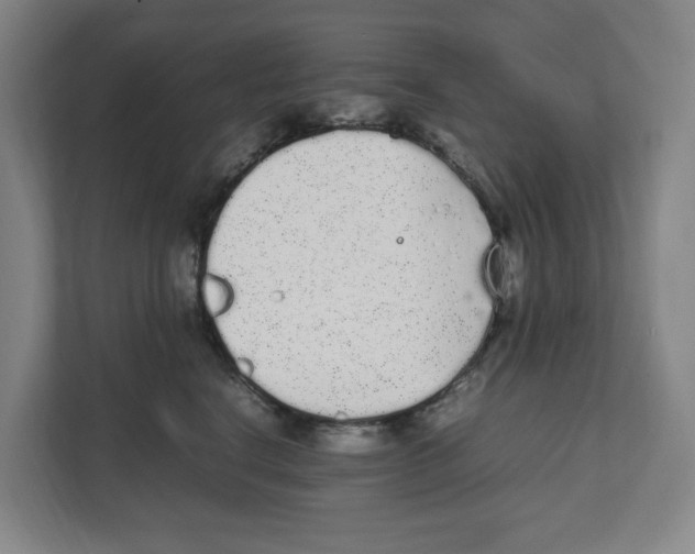 X0000111450664200908101035
