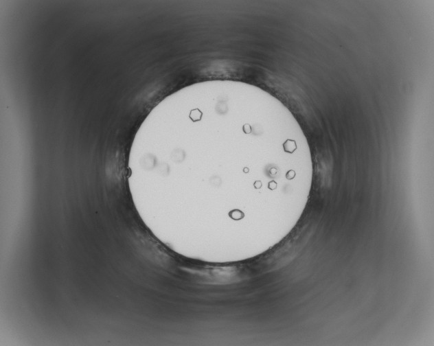 X0000111450665200908101035