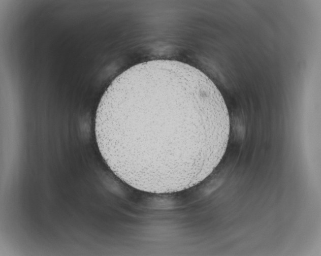 X0000111450668200908101036