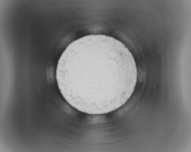 X0000111450670200908101036