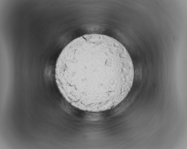 X0000111450671200908101036