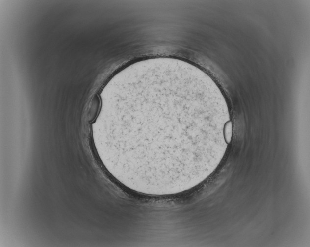X0000111450673200908101035